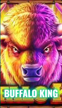 buffalo-king